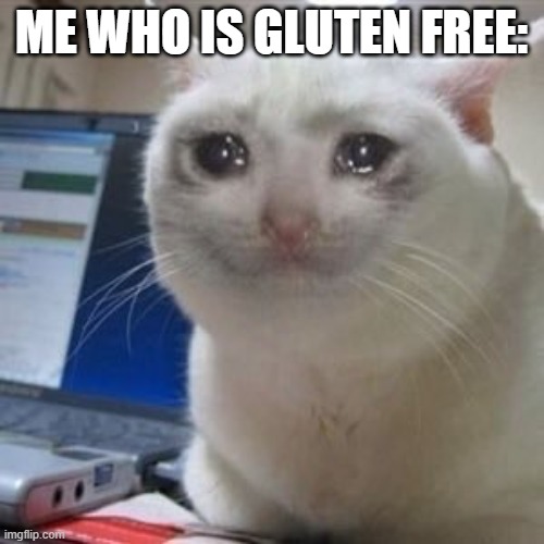 Sad cat tears | ME WHO IS GLUTEN FREE: | image tagged in sad cat tears | made w/ Imgflip meme maker