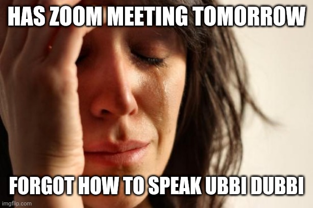 Who's Zooming Who | HAS ZOOM MEETING TOMORROW; FORGOT HOW TO SPEAK UBBI DUBBI | image tagged in memes,first world problems | made w/ Imgflip meme maker