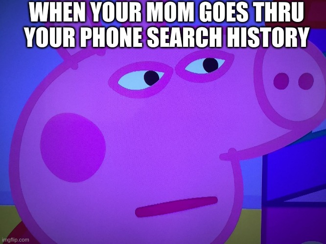 Dis meme bish | WHEN YOUR MOM GOES THRU YOUR PHONE SEARCH HISTORY | image tagged in what did you say peppa pig,peppa pig,lol,wtf,mom,weird | made w/ Imgflip meme maker