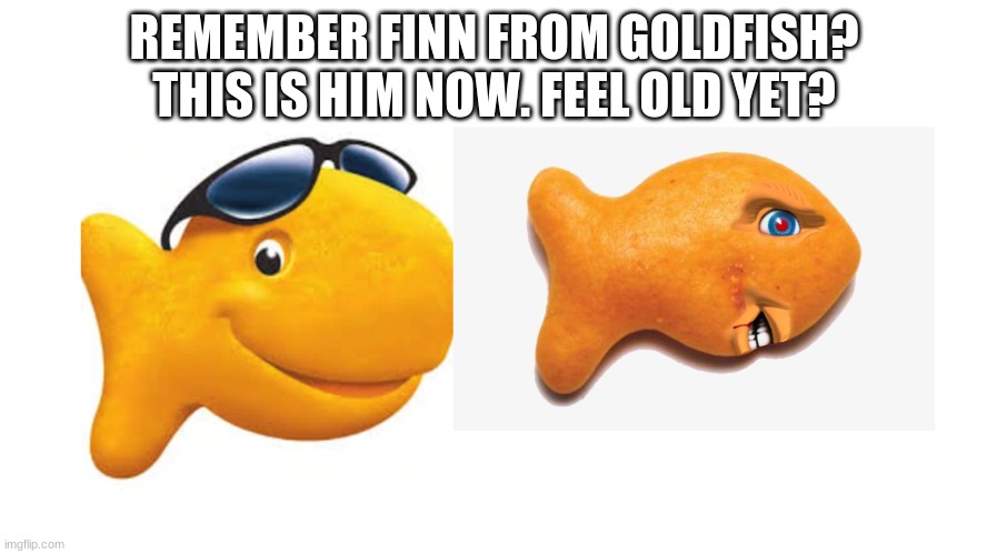 Foldgish | image tagged in goldfish,finn | made w/ Imgflip meme maker