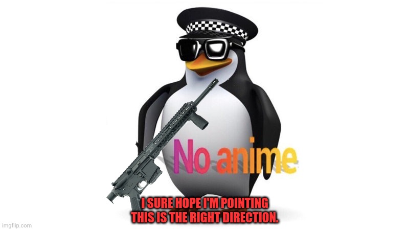 No anime | I SURE HOPE I'M POINTING THIS IS THE RIGHT DIRECTION. | image tagged in no anime | made w/ Imgflip meme maker