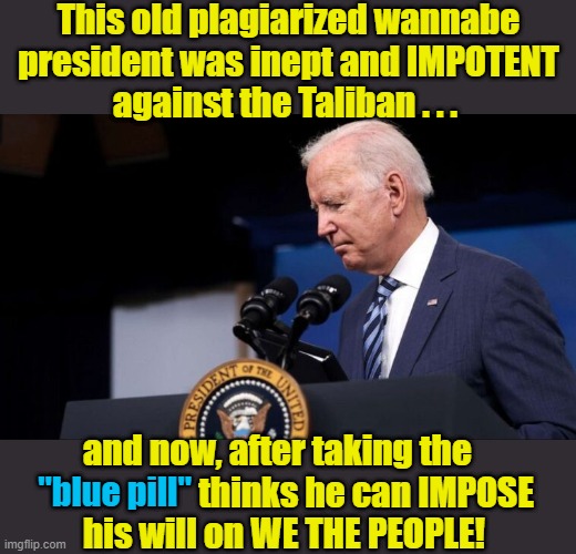 worried Joe | This old plagiarized wannabe
president was inept and IMPOTENT
against the Taliban . . . and now, after taking the         
                 thinks he can IMPOSE
his will on WE THE PEOPLE! "blue pill" | image tagged in political meme,joe biden,president,wannabe,taliban,we the people | made w/ Imgflip meme maker