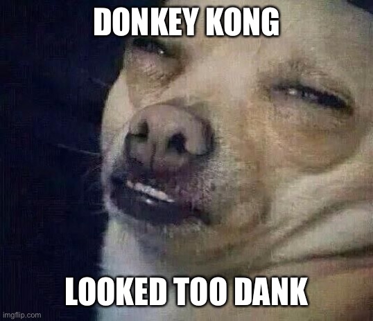 Too Dank | DONKEY KONG LOOKED TOO DANK | image tagged in too dank | made w/ Imgflip meme maker