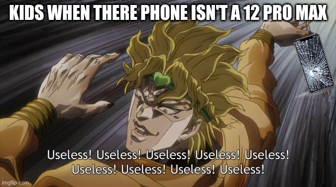 Some be like that tho | KIDS WHEN THERE PHONE ISN'T A 12 PRO MAX | image tagged in useless | made w/ Imgflip meme maker