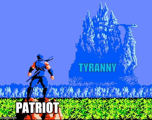 How It Feels To Be A Patriot | TYRANNY; PATRIOT | image tagged in patriot,patriots,tyranny,deep state,democrats,rino | made w/ Imgflip meme maker