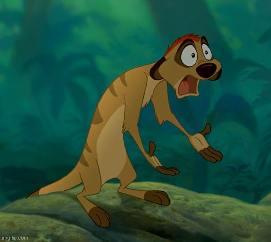 baffled timon | image tagged in baffled timon | made w/ Imgflip meme maker