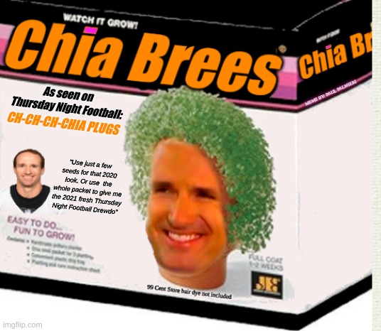 Ch-Ch-Ch-Chia Plugs: Drew Brees NFL Limited Edition Chia Guy |  As seen on Thursday Night Football:; CH-CH-CH-CHIA PLUGS; "Use just a few seeds for that 2020 look. Or use  the whole packet to give me the 2021 fresh Thursday Night Football Drewdo" | image tagged in drew brees,thursday night footbal,nfl memes,new orleans saints,drew brees hair plugs,chia pet | made w/ Imgflip meme maker