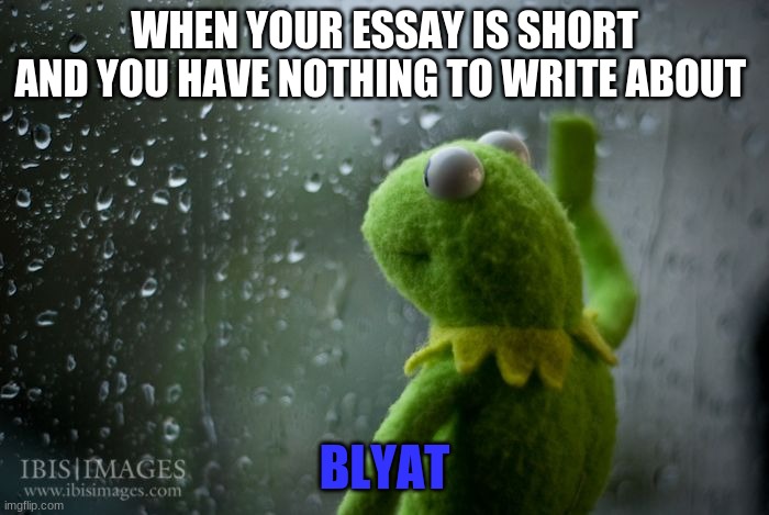 essay problems | WHEN YOUR ESSAY IS SHORT AND YOU HAVE NOTHING TO WRITE ABOUT; BLYAT | image tagged in kermit window | made w/ Imgflip meme maker