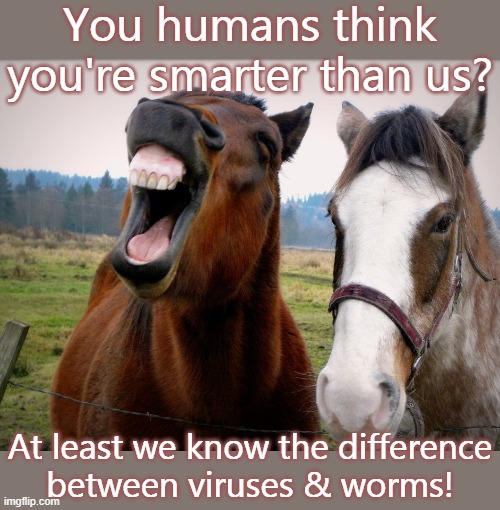 So much for civilization. | You humans think you're smarter than us? At least we know the difference
between viruses & worms! | image tagged in laughing horse,covidiots | made w/ Imgflip meme maker