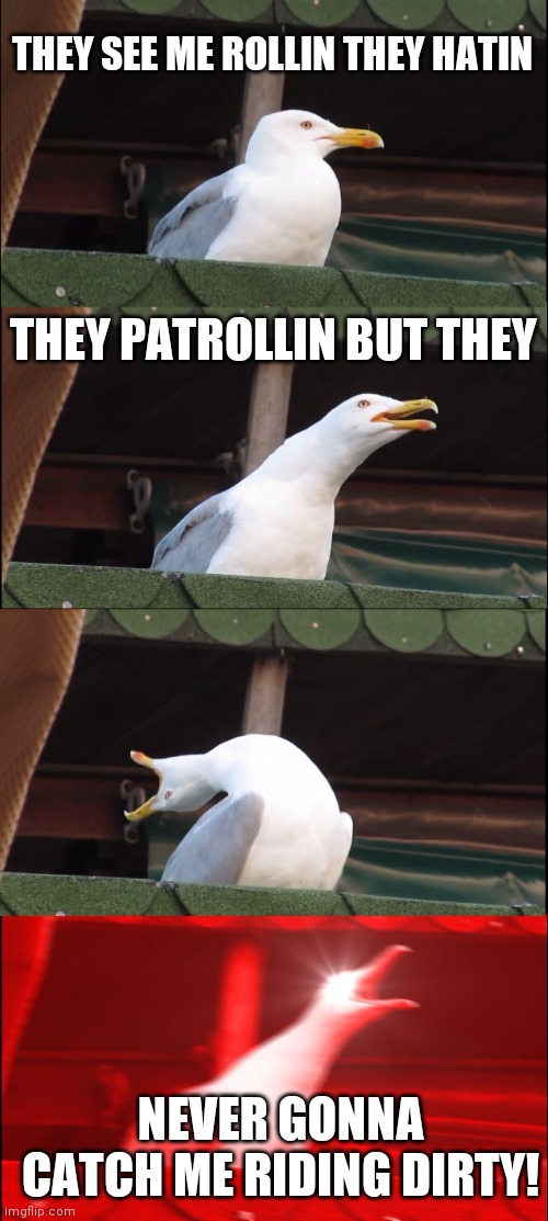 Inhaling Seagull | THEY SEE ME ROLLIN THEY HATIN; THEY PATROLLIN BUT THEY; NEVER GONNA CATCH ME RIDING DIRTY! | image tagged in memes,inhaling seagull | made w/ Imgflip meme maker