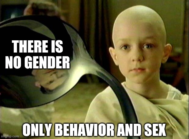 Gender Doesn't Exist, It's A Trap! So Stop Acknowledging It.. | ONLY BEHAVIOR AND SEX THERE IS NO GENDER | image tagged in spoon matrix,gender studies,gender identity,male,female | made w/ Imgflip meme maker