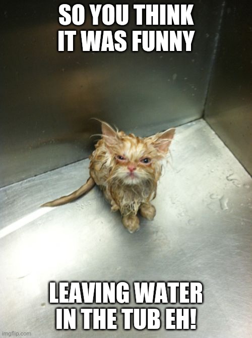 Kill You Cat Meme |  SO YOU THINK IT WAS FUNNY; LEAVING WATER IN THE TUB EH! | image tagged in memes,kill you cat | made w/ Imgflip meme maker