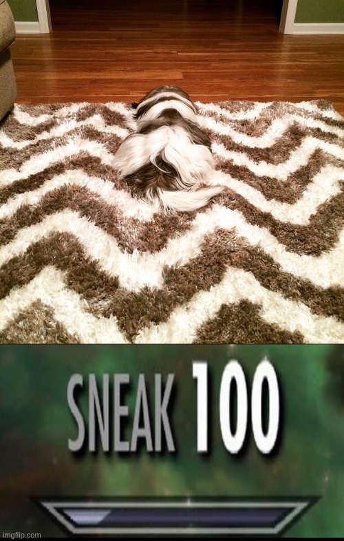 He blends in well | image tagged in sneak 100,dogs,meme,carpet | made w/ Imgflip meme maker