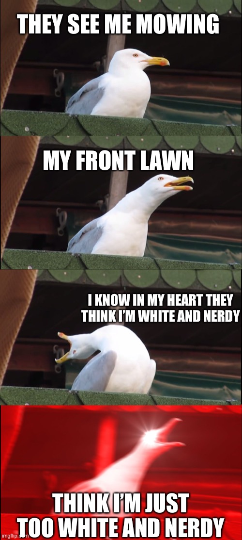 Inhaling Seagull Meme | THEY SEE ME MOWING MY FRONT LAWN I KNOW IN MY HEART THEY THINK I’M WHITE AND NERDY THINK I’M JUST TOO WHITE AND NERDY | image tagged in memes,inhaling seagull | made w/ Imgflip meme maker