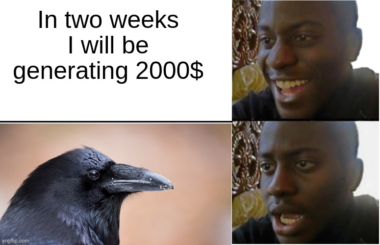 PVU Crow plant vs undead | In two weeks I will be generating 2000$ | image tagged in pvu,plant vs undead,crow,pvu crow,plant vs undead crow | made w/ Imgflip meme maker