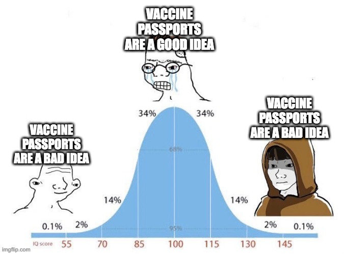 Vaccine passports are a good idea | VACCINE PASSPORTS ARE A GOOD IDEA; VACCINE PASSPORTS ARE A BAD IDEA; VACCINE PASSPORTS ARE A BAD IDEA | image tagged in bell curve,iq,vaccines,vaccine passports,covid-19 | made w/ Imgflip meme maker
