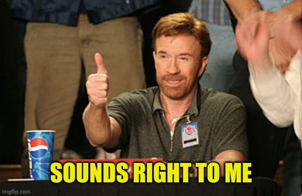 Chuck Norris Approves Meme | SOUNDS RIGHT TO ME | image tagged in memes,chuck norris approves,chuck norris | made w/ Imgflip meme maker