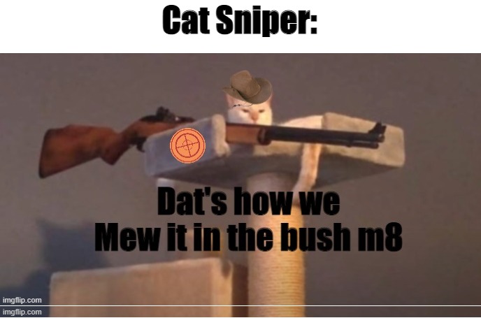 Cat Sniper isn't real, he can't hurt you. | Cat Sniper: | image tagged in cats,gaming,tf2,team fortress 2,cat sniper | made w/ Imgflip meme maker