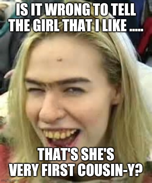 Should I | IS IT WRONG TO TELL THE GIRL THAT I LIKE ..... THAT'S SHE'S VERY FIRST COUSIN-Y? | image tagged in ugly girl,first cousin,redneck,hillbilly | made w/ Imgflip meme maker