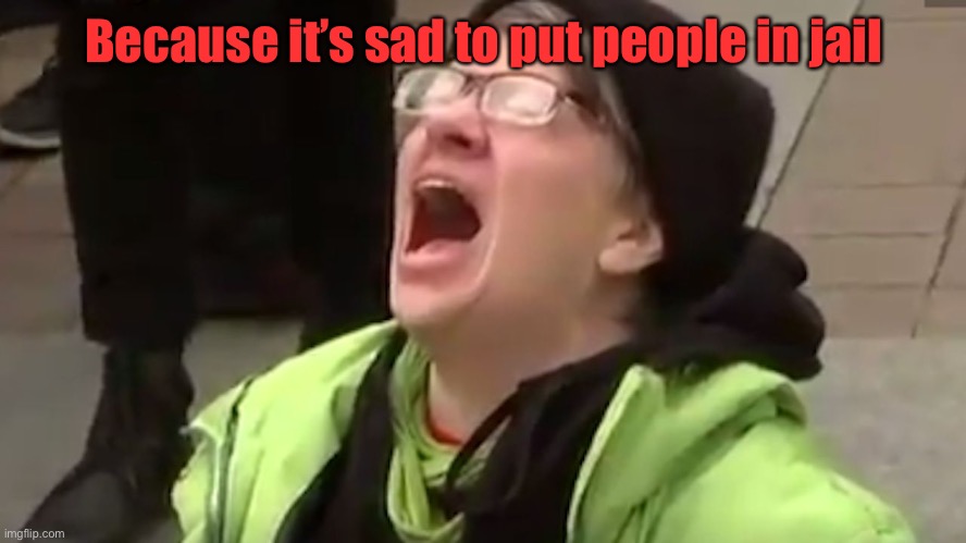 Screaming Liberal  | Because it’s sad to put people in jail | image tagged in screaming liberal | made w/ Imgflip meme maker