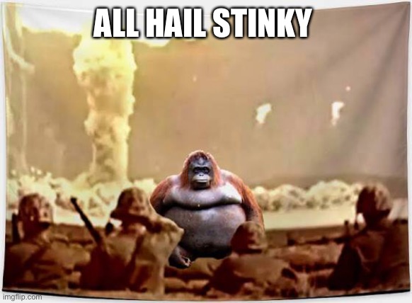 Uh oh STINKY | ALL HAIL STINKY | image tagged in stinky | made w/ Imgflip meme maker