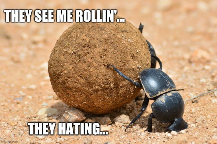 Gonna catch me riding dirty! |  THEY SEE ME ROLLIN'... THEY HATING... | image tagged in poop,rolling,beetle,riding,dirty,memes | made w/ Imgflip meme maker