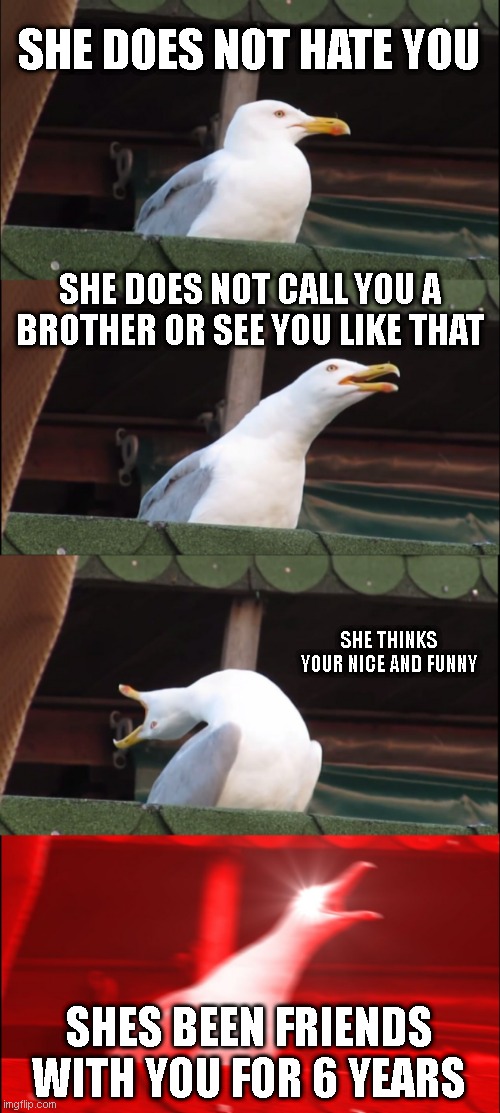 Inhaling Seagull Meme | SHE DOES NOT HATE YOU; SHE DOES NOT CALL YOU A BROTHER OR SEE YOU LIKE THAT; SHE THINKS YOUR NICE AND FUNNY; SHES BEEN FRIENDS WITH YOU FOR 6 YEARS | image tagged in memes,inhaling seagull | made w/ Imgflip meme maker