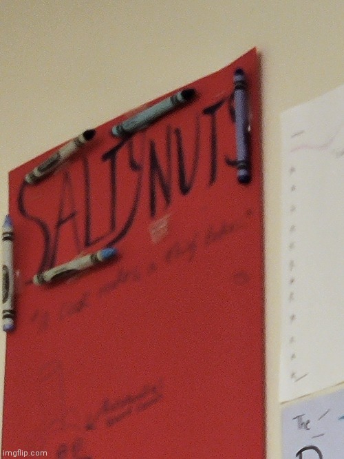 Our cooking teacher had us pick team names today and some other class thought this was hilarious. It is. | image tagged in salty nuts | made w/ Imgflip meme maker