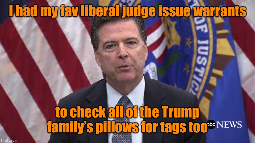 FBI Director James Comey | I had my fav liberal judge issue warrants to check all of the Trump family’s pillows for tags too | image tagged in fbi director james comey | made w/ Imgflip meme maker