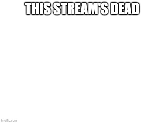 Blank White Template | THIS STREAM'S DEAD | image tagged in blank white template | made w/ Imgflip meme maker