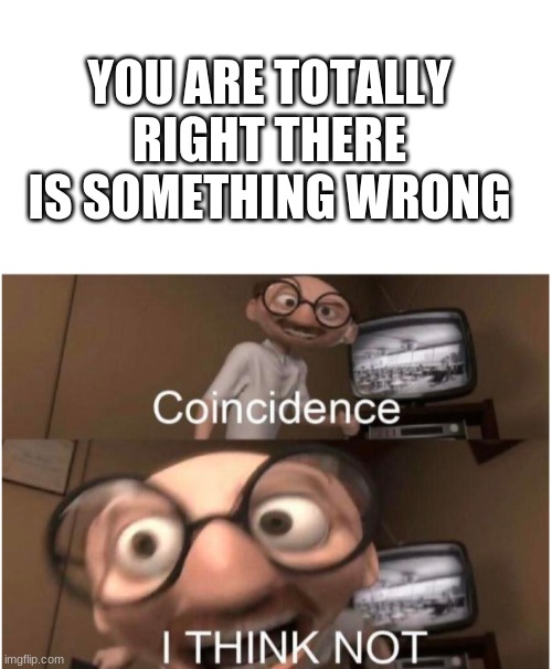 YOU ARE TOTALLY RIGHT THERE IS SOMETHING WRONG | image tagged in blank white template,coincidence i think not | made w/ Imgflip meme maker