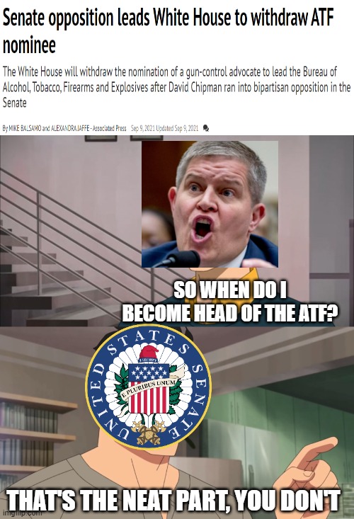 Score one for REAL Americans | SO WHEN DO I BECOME HEAD OF THE ATF? THAT'S THE NEAT PART, YOU DON'T | image tagged in that's the neat part you don't,senate | made w/ Imgflip meme maker
