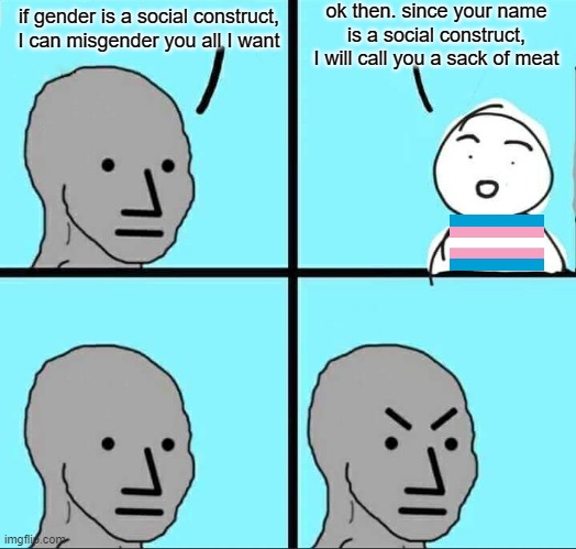 insult me, and I will insult you right back | ok then. since your name is a social construct, I will call you a sack of meat; if gender is a social construct, I can misgender you all I want | image tagged in npc meme | made w/ Imgflip meme maker