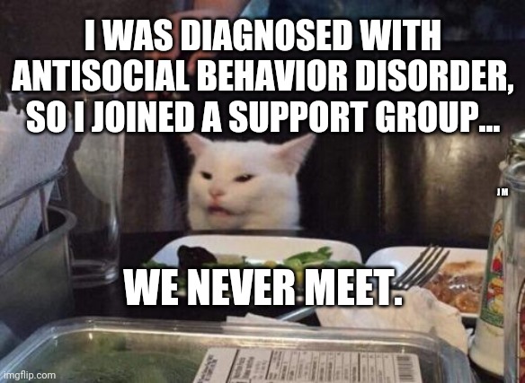 Salad cat | I WAS DIAGNOSED WITH ANTISOCIAL BEHAVIOR DISORDER, SO I JOINED A SUPPORT GROUP... J M; WE NEVER MEET. | image tagged in salad cat | made w/ Imgflip meme maker