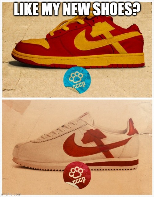 Awesome shoes | LIKE MY NEW SHOES? | image tagged in nike comunista | made w/ Imgflip meme maker