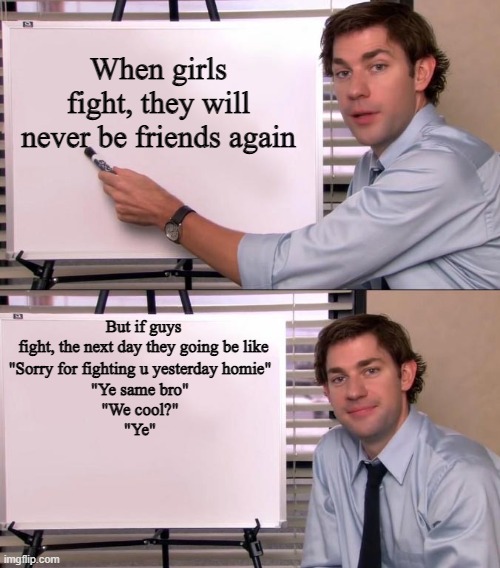 Facts? | When girls fight, they will never be friends again; But if guys fight, the next day they going be like; "Sorry for fighting u yesterday homie"
"Ye same bro"
"We cool?"
"Ye" | image tagged in jim halpert explains,memes | made w/ Imgflip meme maker