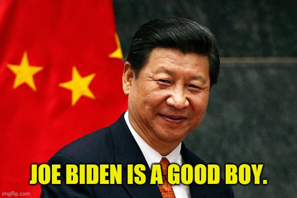 Xi Jinping | JOE BIDEN IS A GOOD BOY. | image tagged in xi jinping | made w/ Imgflip meme maker