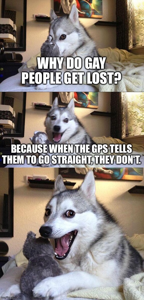 Bad pun time | WHY DO GAY PEOPLE GET LOST? BECAUSE WHEN THE GPS TELLS THEM TO GO STRAIGHT, THEY DON'T. | image tagged in memes,bad pun dog | made w/ Imgflip meme maker