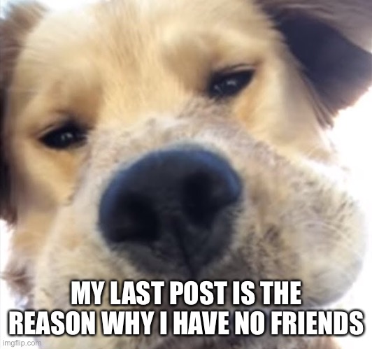 Doggo bruh | MY LAST POST IS THE REASON WHY I HAVE NO FRIENDS | image tagged in doggo bruh | made w/ Imgflip meme maker