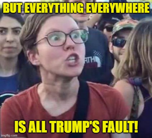 Angry Liberal | BUT EVERYTHING EVERYWHERE IS ALL TRUMP'S FAULT! | image tagged in angry liberal | made w/ Imgflip meme maker