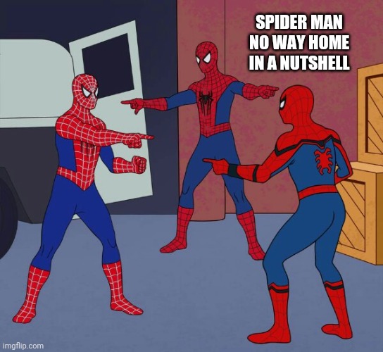 Tbh, they better do this in that movie | SPIDER MAN NO WAY HOME IN A NUTSHELL | image tagged in spider man triple | made w/ Imgflip meme maker