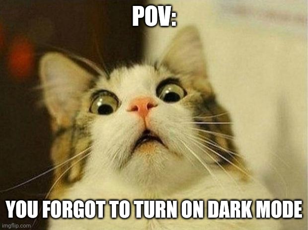 Scared Cat Meme | POV:; YOU FORGOT TO TURN ON DARK MODE | image tagged in memes,scared cat | made w/ Imgflip meme maker