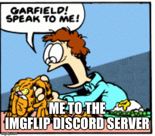 Garfield speak to me! | ME TO THE IMGFLIP DISCORD SERVER | image tagged in garfield speak to me | made w/ Imgflip meme maker
