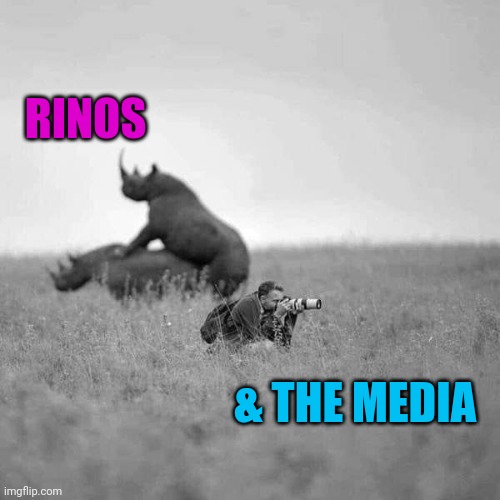 They see what they want | RINOS; & THE MEDIA | image tagged in memes,politics,media | made w/ Imgflip meme maker