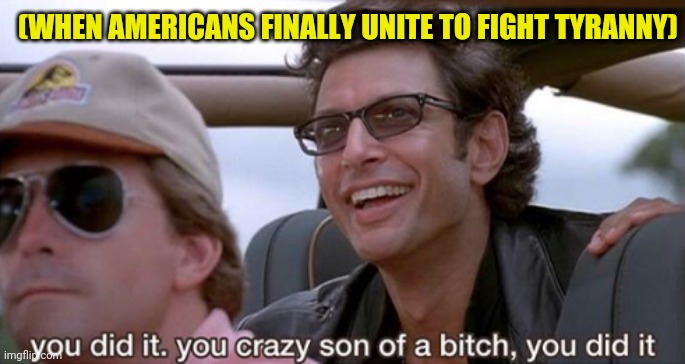 You Did It (Jurassic Park) | (WHEN AMERICANS FINALLY UNITE TO FIGHT TYRANNY) | image tagged in you did it jurassic park | made w/ Imgflip meme maker