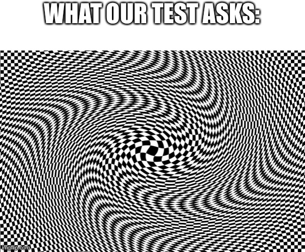 Illusion | WHAT OUR TEST ASKS: | image tagged in illusion | made w/ Imgflip meme maker