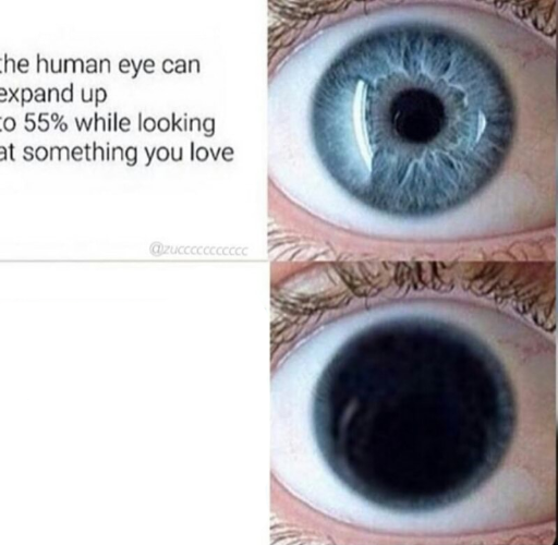 The human eye can expand up to 55% Blank Meme Template