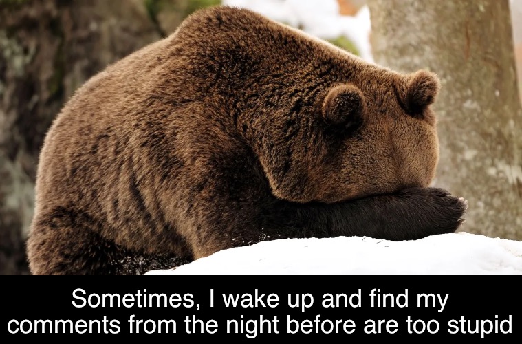 Sometimes, I wake up and find my comments from the night before are too stupid | made w/ Imgflip meme maker