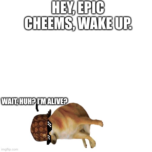 Meet epic cheems, the oldest OC I created. | HEY, EPIC CHEEMS, WAKE UP. WAIT, HUH? I’M ALIVE? | image tagged in memes,blank transparent square | made w/ Imgflip meme maker