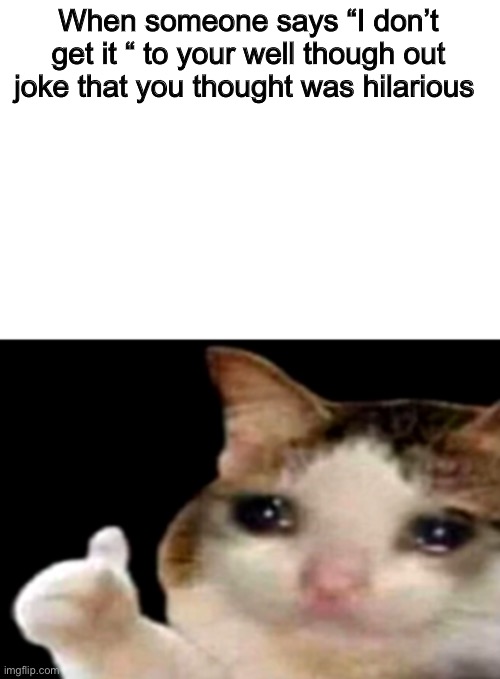 When someone doesn’t get your amazing joke | When someone says “I don’t get it “ to your well though out joke that you thought was hilarious | image tagged in sad cat thumbs up white spacing | made w/ Imgflip meme maker